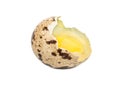 Broken quail egg Royalty Free Stock Photo