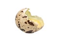 Broken quail egg Royalty Free Stock Photo