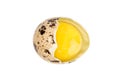 Broken quail egg Royalty Free Stock Photo