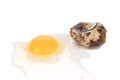 Broken quail egg. Royalty Free Stock Photo