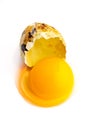 broken quail egg on white background; eco product; healthy food. Royalty Free Stock Photo