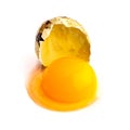 broken quail egg on white background; eco product; healthy food. Royalty Free Stock Photo