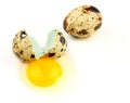 Broken quail egg on white background, close up Royalty Free Stock Photo