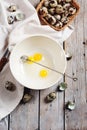 Broken quail eggs in a bowl Royalty Free Stock Photo