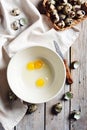 Broken quail eggs in a bowl Royalty Free Stock Photo