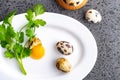 Broken quail eggs with parsley on the white table Royalty Free Stock Photo