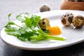 Broken quail eggs with parsley on the white table Royalty Free Stock Photo