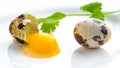 Broken quail eggs with parsley on the white table Royalty Free Stock Photo
