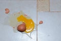 Broken raw egg on the floor. view from above. copy space Royalty Free Stock Photo