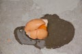 Broken raw egg lies on the dirty floor Royalty Free Stock Photo