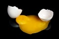 Broken raw egg yolk with a great close-up