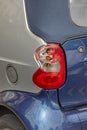 Broken Rear Car Lights Royalty Free Stock Photo