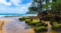 Broken Remains of a Coral Reef at Moloa\'a Stream