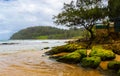 Broken Remains of a Coral Reef at Moloa\'a Stream