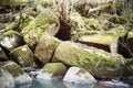 Broken rock on the bank of the stream. Natural stones