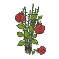 Broken roses color sketch engraving vector Royalty Free Stock Photo