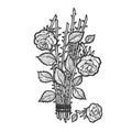 Broken roses sketch engraving vector illustration Royalty Free Stock Photo