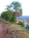 Broken rural fencing lining path Royalty Free Stock Photo