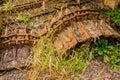 Broken and rusted bulldozer tracks