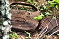 Broken rusted old car parts in the forest