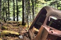 Broken rusted old car parts in the forest