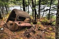 Broken rusted old car parts in the forest