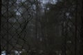 Broken rusty fence in the middle of a Swedish forest on a misty day.