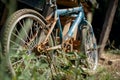 Broken Rusty Old Bicycle Royalty Free Stock Photo