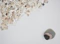 Broken shells and pebbles background Royalty Free Stock Photo