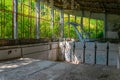 Broken swimming pool in the Pripyat town in the Ukraine