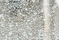 Broken tempered glass simple abstract background texture, shattered glass window object structure macro, detail, extreme closeup Royalty Free Stock Photo