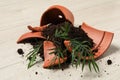 Broken terracotta flower pot with soil and plant on floor Royalty Free Stock Photo