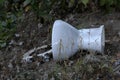 Toilet, environmental frills on the roadside