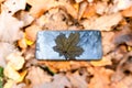 Broken touch phone on a background of autumn leaves .silhouette maple leaf, autumn concept Royalty Free Stock Photo