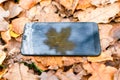 Broken touch phone on a background of autumn leaves .silhouette maple leaf, autumn concept Royalty Free Stock Photo