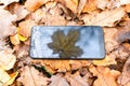 Broken touch phone on a background of autumn leaves .silhouette maple leaf, autumn concept Royalty Free Stock Photo