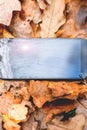 Broken touch phone on a background of autumn leaves on the grass.silhouette maple leaf Royalty Free Stock Photo