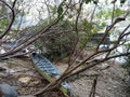 Broken traditional sampan in hongkong Ap Lei Chau island