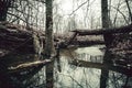 Broken tree above small forest river. A peace of ice floating in the water Royalty Free Stock Photo