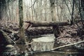 Broken tree above small forest river. A peace of ice floating in the water Royalty Free Stock Photo