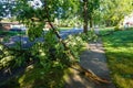 A broken tree branch seen blocking the sidewalk after a severe storm Royalty Free Stock Photo