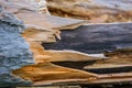 Broken tree, close-up. Destroyed wood, selective focus. Natural wood background