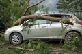 Broken tree fallen on top of parking car Royalty Free Stock Photo