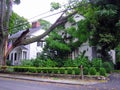 Broken tree on house - hurricane damage Royalty Free Stock Photo