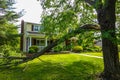 A broken tree limb lays across the green lawn in front of a large house after a severe storm Royalty Free Stock Photo