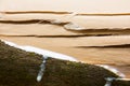 Broken down rubber tree with milky latex flowing down background