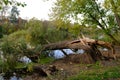 Broken tree in the park by the lake. Royalty Free Stock Photo
