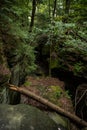 Broken Tree Trunk Fell Into The Ledges Royalty Free Stock Photo