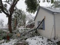 Broken Tree, Winter Storm Damage.