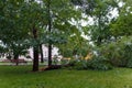 Broken trees and branches. Thunderstorm, heavy rain with hail consequences. Climate changes, environmental problem Royalty Free Stock Photo